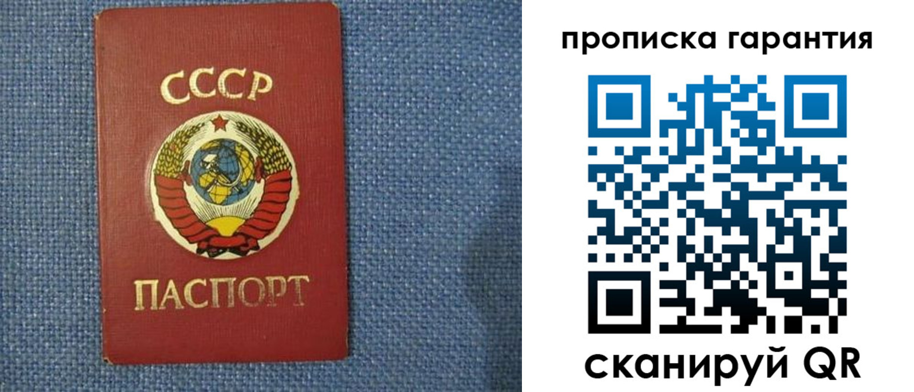 прописка 2025 в Фрязино